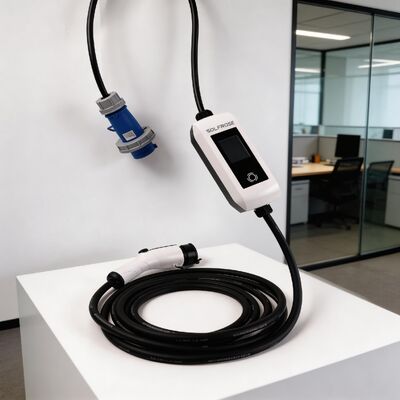 comprare Stazione di ricarica per veicoli elettrici monofase da 7 kW (32A) – Caricatore AC di grado commerciale per l'impiego in Europa online manufacture